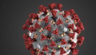 The Illustration reveals ultrastructural morphology exhibited by the novel coronavirus, COVID-19. AFP/Centers For Disease Control And Prevention handout /Alissa Eckert