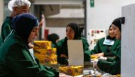 Palestinian industrial workers pack freshly-wrapped wafer biscuits into boxes at a factory in the West Bank city of Ramallah on June 17, 2019. AFP / Abbas Momani