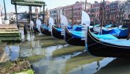 A view shows clearer waters by gondolas in Venice's Grand Canal near the Rialto Bridge (Rear L) on March 17, 2020 as a result of the stoppage of motorboat traffic, following the country's lockdown within the new coronavirus crisis. / AFP / ANDREA PATTARO