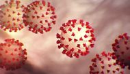 (FILES) This handout file illustration image obtained February 27, 2020 courtesy of the Centers for Disease Control and Prevention and created at the Centers for Disease Control and Prevention (CDC) shows the coronavirus,COVID-19./ AFP / Centers for Disea