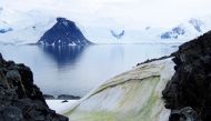 Muli-colored snow algae on Anchorage Island, in Antarctica. 