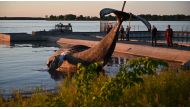 The body of a young humpback whale is lifted out of the water during the evening of June 9, 2020 in Sorel (90 km east of Montreal), Quebec, where it was towed after being found east of Montreal in the morning hours. AFP / Eric THOMAS