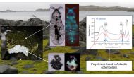 A handout composit image made available by Elettra Sicrotone Trieste University of Siena, on June 24, 2020, shows graphics of polystyrene found in Antarctic collembolans. AFP PHOTO /ELETTRA SINCROTONE TRIESTE UNIVERSITY OF SIENA