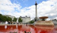 Ducks swim in a fountain whose water was turned red after animal rights and environmental activists poured coloured dye into the clear water, on Trafalgar Square in London, Britain, July 11, 2020. REUTERS/Toby Melville