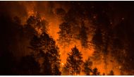 An aerial view shows a forest fire in Krasnoyarsk Region, Russia July 17, 2020. Picture taken July 17, 2020. Julia Petrenko/Greenpeace/Handout 