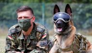 Erec Junior, a three year-old sniffing dog wears protection goggles against the sun and dust as he poses together with Robert Zacharz for photographers at the sniffing dogs school of the German Army (Bundeswehr) in Daun, Germany, July 24, 2020. /REUTERS/W