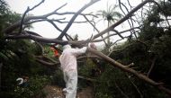 Fire and rescue members cut the branches of a tree that fell under the heavy rain caused by the Isaias Storm in Santo Domingo, on July 30, 2020. / AFP / afp / Erika SANTELICES
