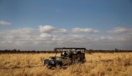 Tourists take part in a guided Safari tour at the Dinokeng Game Reserve outside Pretoria, on August 7, 2020. (AFP / Michele Spatari)