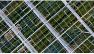 Lufa Farms, a company just opened what it says is the world's largest commercial rooftop greenhouse is seen in an aerial photo of the greenhouse in Montreal, Quebec on July 22, 2020. Building on a new hanging garden trend, a greenhouse atop a Montreal war