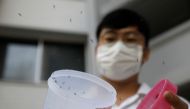 Male Wolbachia-aedes aegypti mosquitos are released at a public housing estate test site in Singapore August 27, 2020. Picture taken August 27, 2020. REUTERS/Edgar Su
