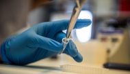 A scientist works at the Neurobiology laboratory of the Cayetano Heredia University in Lima.  AFP / ERNESTO BENAVIDES
