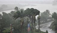Strong winds batter coconut trees in central Vietnam's Quang Ngai province on October 28, 2020 as Typhoon Molave makes landfall. / AFP / MANAN VATSYAYANA