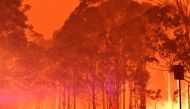 FILE PHOTO: A firefighter walks past burning trees during a battle against bushfires around the town of Nowra in the Australian state of New South Wales on December 31, 2019.  AFP / SAEED KHAN