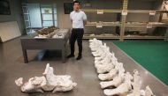 A Thai archaeologist stands next to a whale skeleton, thought to be between 3,000 and 5,000 years old and belonging to a Bryde's whale in laboratory, in Pathum Thani, Thailand December 4, 2020. REUTERS/Soe Zeya Tun
