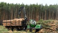 A worker clears trees at the area where U.S. electric vehicle pioneer Tesla plans to build a Tesla Gigafactory in Gruenheide near Berlin, Germany February 21, 2020. Reuters/Annegret Hilse/File Photo
