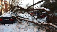 A man uses a shovel to clean an icy street next to a fallen tree after heavy snowfall in Madrid, Spain, January 14, 2021. REUTERS/Sergio Perez