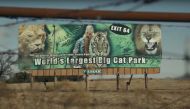 snapshot from trailer 'Tiger King' 