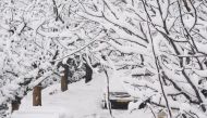 Snow envelops cars, trees, and streets in Falwi, Lebanon. February 17, 2021. Photo by The Peninsula reader Ali Mahmoud Siblani