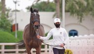 A trainer takes her horse for a vet check at the Outdoor Arena of the Qatar Equestrian Federation. The Amir Sword Festival kicks off today at the same venue