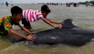 Youths push a short-finned pilot whale (Globicephala macrorhynchus), one of fifty-two which got stranded at a beach in Bangkalan near Surabaya, East Java province, Indonesia, February 19, 2021 in this photo taken by Antara Foto. Antara Foto/Zabur Karuru/ 
