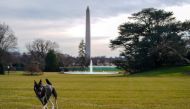 FILE PHOTO: Major, one of the family dogs of U.S. President Joe Biden and First Lady Jill Biden, explores the South Lawn after on his arrival from Delaware at the White House in Washington, U.S. January 24, 2021. Adam Schultz/White House/Handout via REUTE