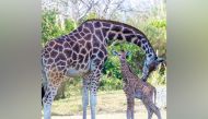 Source: Photos by Ron Magill / Instagram / Zoo Miami 