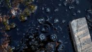 Methane bubbles are seen in an area of marshland at a research post at Stordalen Mire near Abisko, Sweden, August 1, 2019. Reuters/Hannah McKay/File Photo