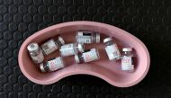 Empty vials of Moderna COVID-19 vaccine are pictured in a kidney dish at a rest stop near Drayton, North Dakota where Manitoba-based truckers, transporting goods to and from the United States, were vaccinated against coronavirus disease (COVID-19) as part