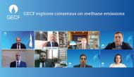 Officials and experts during online workshop.