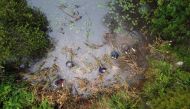 University of Newcastle professor Michael Mahony and field assistants search for frogs at a pond in Cooranbong, Australia, June 3, 2021. Picture taken June 3, 2021 with a drone. REUTERS/James Redmayne
