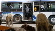A man rides a bus past sheep for sale for the upcoming Eid Al-Adha sacrifice as the coronavirus disease (COVID-19) cases spike, in Dakar, Senegal July 19, 2021. Picture taken July 19, 2021. REUTERS/Zohra Bensemra