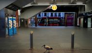 A lone bird walks past the quiet Circular Quay train station during a lockdown to curb the spread of a coronavirus disease (COVID-19) outbreak in Sydney, Australia, July 28, 2021. REUTERS/Loren Elliott/File Photo