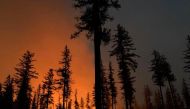 Twitter: NIFC_Fire