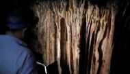 A guide iluminates red ocher markings which were painted on stalagmites by Neanderthals about 65,000 years ago in a prehistoric cave in Ardales, southern Spain, August 7, 2021. Reuters/Jon Nazca