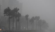 Palm trees sway in the wind and rain during the passage of Tropical Storm Fred in Santo Domingo, Dominican Republic August 11, 2021. REUTERS/Ricardo Rojas
