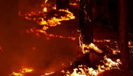 Flames from the Caldor Fire burn through the Eldorado National Forest near Kyburz, California, U.S. August 21, 2021. REUTERS/Fred Greaves