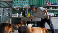 Kent Luk, founder of Paws Guardian Rescue Shelter, interacts with dogs inside his shelter in Hong Kong, China August 30, 2021. Picture taken August 30, 2021. REUTERS/Lam Yik