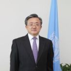 Liu Zhenmin
