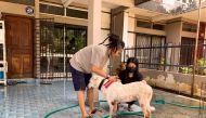 Juanita binti Izzudin and a fellow volunteer bathe a dog at Arausza Animal Shelter as they clean up the place after a flood hit Kajang, Selangor state, Malaysia, December 21, 2021. REUTERS/Ebrahim Harris NO RESALES. NO ARCHIVES
