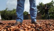 FILE PHOTO: People dry cocoa beans in the Ivorian cocoa farming village of Djigbadji, commonly known as Bandikro or Bandit Town, located inside the Rapides Grah protected forest and destroyed by forest authorities in January 2020, in Soubre, Ivory Coast January 7, 2021. Picture taken January 7, 2021. REUTERS/Luc Gnago/File Photo
