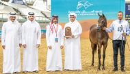 Deputy Manager of Arabian Horse Show Department at QREC, Saad Al Kubisi, with the connection of Al Jadaa Al Ammar.