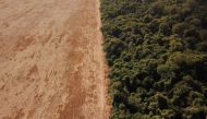 An aerial view shows deforestation near a forest on the border between Amazonia and Cerrado in Nova Xavantina, Mato Grosso state, Brazil July 28, 2021. Picture taken with a drone. REUTERS/Amanda Perobelli/File Photo