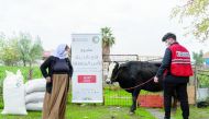 A QRCS representative hands over a cow to a beneficiary under income generation programme in Iraq.
