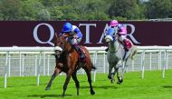 Lady Princess (foreground) is one of the main contenders to win the Qatar International Stakes.  