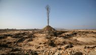 File photo: A tree stands on the dried-up riverbed of Ai River in Dandong, Liaoning province November 27, 2009. Reuters/Jacky Chen/File Photo