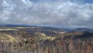 View of a forest burned by the Hermits Peak Calf Canyon fire near Holman, New Mexico, U.S., May 24, 2022. Picture taken May 24, 2022. REUTERS/Andrew Hay/File Photo