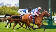 Image Du Croate, winner of Qatar Arabian Trophy for Fillies 2021. PICS: Zuzanna Lupa