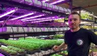 Noah Verin, the owner of Sydney farm Urban Green, stands near herbs and micro-greens that he grows with his team in a basement carpark at central business district, in Sydney, Australia, October 27, 2022. REUTERS/Stefica Nicol Bikes