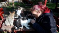 Kinga Schneider, spokesperson of Noah's Ark Animal Shelter interacts with a cat at the shelter in Budapest, Hungary, November 2, 2022. (REUTERS/Bernadett Szabo)