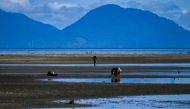 A woman walks home after fishing at a beach in Peukan Bada in Indonesia's Aceh province on February 1, 2023. (Photo by CHAIDEER MAHYUDDIN / AFP)
